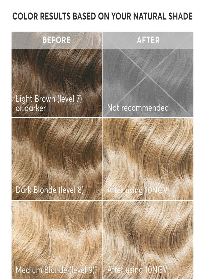 Madison Reed Radiant Hair Color Kit Plus | 10NGV Light Golden Blonde (Amalfi Blonde) | 100% Gray Coverage | Ammonia-Free Salon Hair Dye for Long or Thick Hair - Image 5